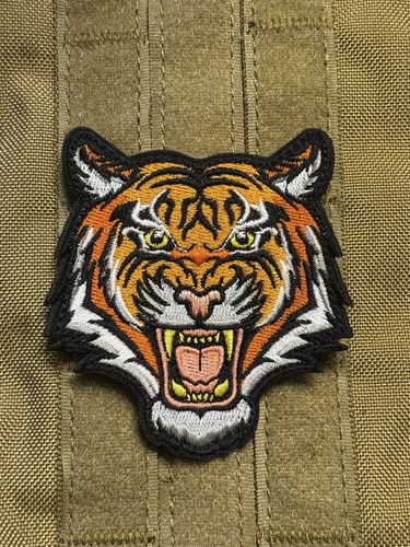 Tiger big cat man - big,
